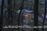 Unterholz - Open Mind Place
