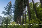 Himmelssäulen in einer Reihe