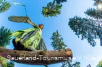 Briloner Waldfee in eienm grünen Kleid
