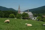 Brunnenweg13.Juli-Rosenfest 047.JPG