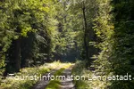 Wanderweg an der Einsiedelei