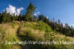 Schmaler Pfad auf den Ginsterkopf bei blauem Himmel