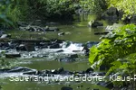 Die Orke bei Medelon