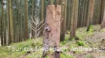 Wandern zu jeder Jahreszeit