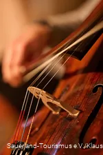 Nahaufnahme eines Cellos