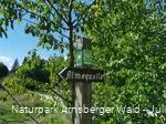 Wegweiser Brilon Almequellen - Sauerland-Waldroute