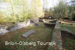 Wallanlage im Herbstwald