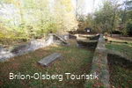Wallanlage im Herbstwald