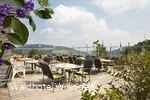waldhotel-willingen-terrasse-ausblick.jpg