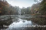 Almequellen im Herbst