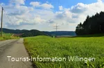 Wiesenlandschaft auf dem Geschichtspfad Welleringhausen