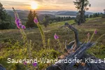 Blick von der Hochheide in den Sonnenuntergang