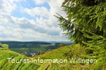 Geschichtspfad mit Blick auf Welleringhausen