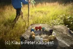 Die Perlen des Glaubens