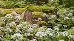Natur bei Glindfeld