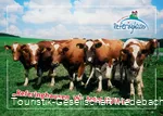 Milchweg Referinghausen