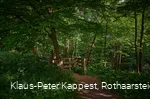 Pfad ins Helletal in Winterberg