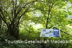 Infotafel 8 am Gewässerpfad Orke