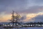Wintermorgen auf dem Kahlen Asten mit kahlem Laubbaum