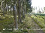 Die A-Rundwege rund um den Weddel in Medebach