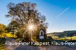 Die Lausebuche
