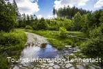 Wasserfurt im Schwarzbachtal