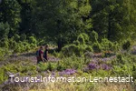 Wandern in der Heinsberger Heide