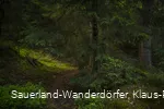 Steinbruch am Schinkenkeller