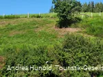 Vogelerlebnispfad Medebach-Dreislar
