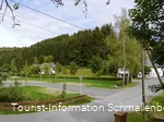 2445598