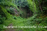 Blick in den Steinbruch Peperburg