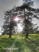 Sonnenschein am Osterkopf