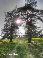 Sonnenschein am Osterkopf