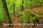 Das Hollenhaus ragt aus dem Waldboden bei Bödefeld