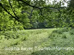 Wiese im Strycktal