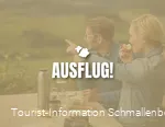 2445398