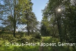 Graswanderweg in Willingen