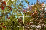 Wegweiser Fahrrad zur Diemelquelle