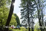 Trekkingplatz U3 - Büller Höhe 