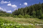 Natur im Schwarzbachtal