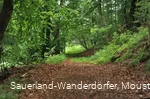 Waldweg