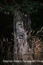 3040876