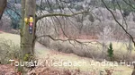 Wandern in der Ferienregion Medebach auf gut markierten Wegen