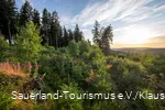 Wanderpfad oberhalb von Heinsberg