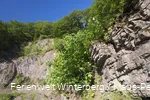 FerienweltWinterberg_2018_Hallenberg_Hesborn_Steinbruch_Gemeindesteinbruch_Dorfplatz_Felsen_Sommer_Klaus-Peter Kappest (7).jpg