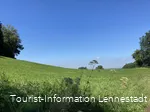 Wiese oberhalb von Grevenbrück 3.jpeg
