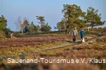 Ein Wanderpaar mit einem Hund in der winterlichen Heidelandschaft