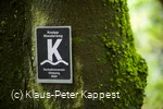 KPK974539.jpg kappest