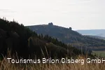 Ginsterkopf mit Blick auf die Bruchhauser Steine