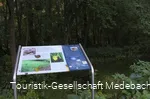 Infotafel 9 am Gewässerpfad Orke
